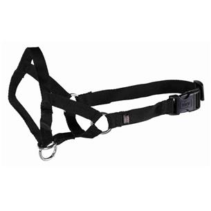 ARNES BOZAL TOP TRAINER "L" 31cm