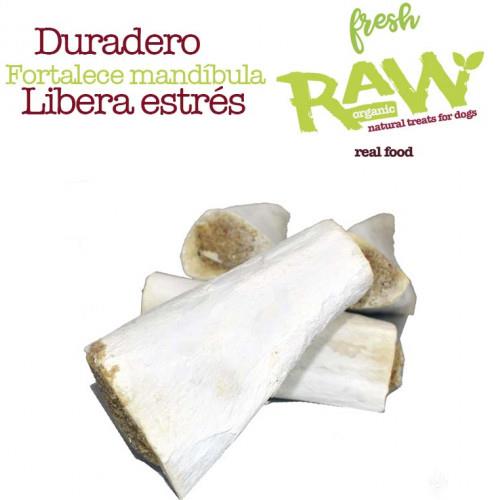 FRESH RAW HUESO TIBIA BLAN 10UD