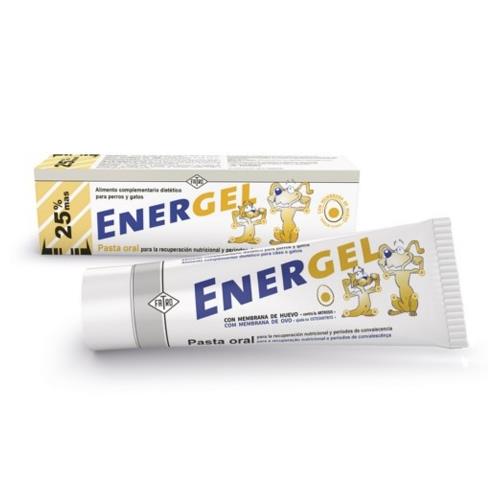 ENERGEL PASTA ORAL 80gr