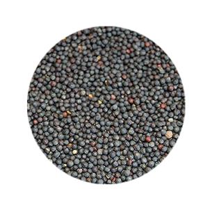 BOLSA NABINA 1kg SHAMBI 2