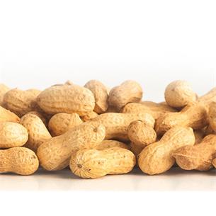 BOLSA CACAHUETES 400gr SHAMBI 2