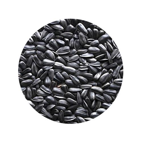 BOLSA PIPA NEGRA 650gr SHAMBI