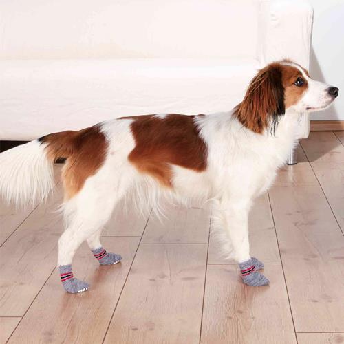 CALCETINES PERRO ANTIDESL XXS-XS