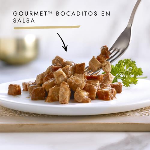 GOURMET GOLD BOCA SALM Y POL 85g