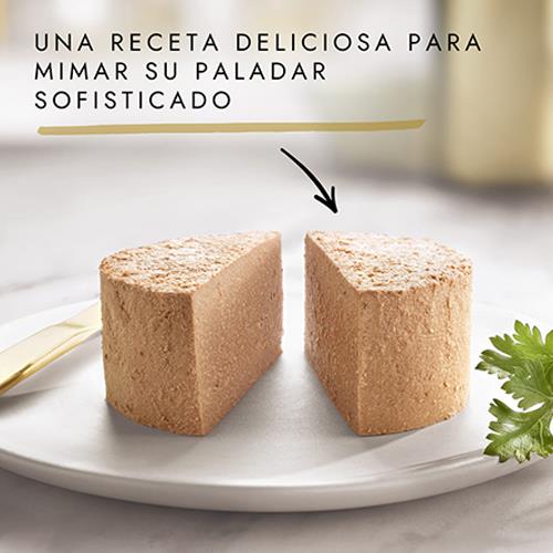 GOURMET GOLD MOUS PACK PESC 8x85