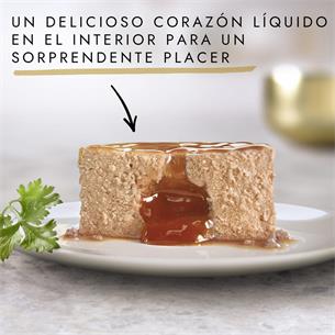 GOURMET GOLD MULT FONDANT 12x85g 2