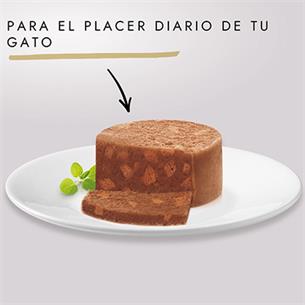 GOURMET GOLD TARRINA CONEJO 85g 2
