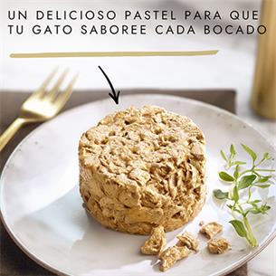 GOURMET GOLD TARTALETA BUEY 85g 2