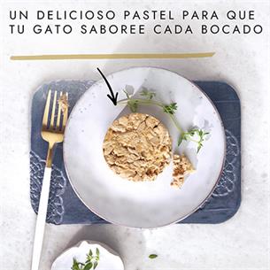 GOURMET GOLD POLLO/ZANAHORIA 85g 2