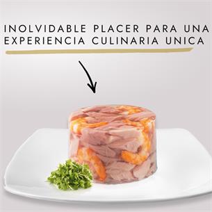 GOURMET NATURE ATUN GAMBAS 85gr 2