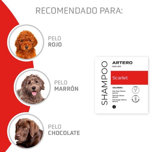 CHAMPU SCARLET ROJO 300ML ARTERO