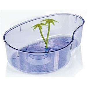 TORTUGUERA THASOS ISLA 32*22*8
