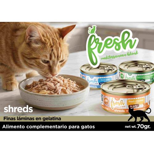 FRESH CT ATUN GELATINA 70g