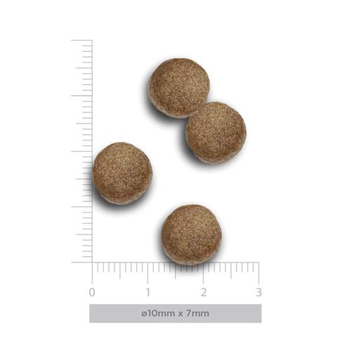 H&B DG PUPPY FLAVOURS FARM 2kg
