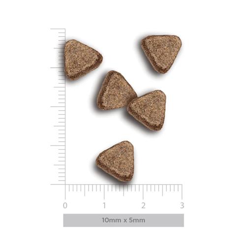 H&B CT STERIL OCEAN WONDERS 5kg