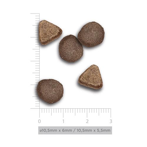 H&B CT STERIL FRESH MARKET 2kg