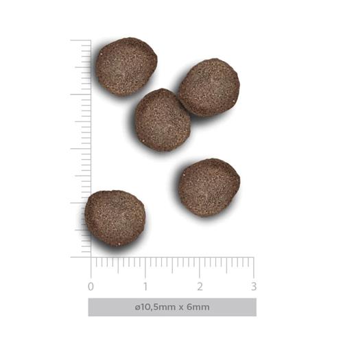 H&B CT STERIL WILD MOUNTAIN 5kg