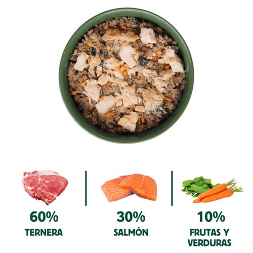 LATA SALMON DG 400g FILOSOF BARF