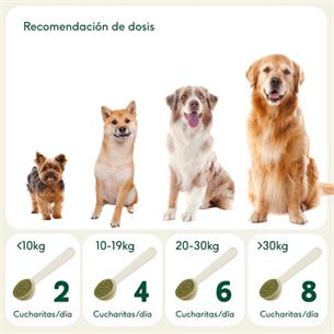 BARF EN UNO SUPLEMENTO 100g WB 2