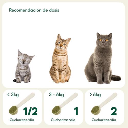 BARF EN UNO SUPLEMENTO 100g WB
