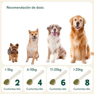 ARTICULACIONES ACERO 100g WB 2