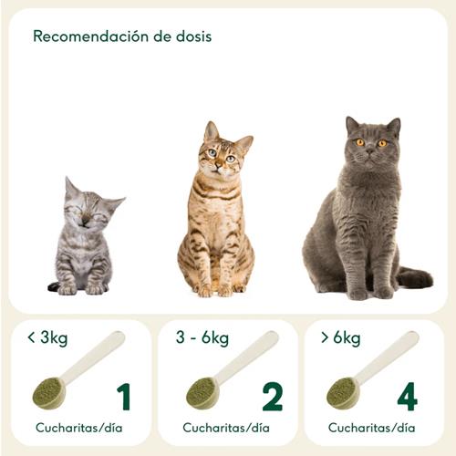 ARTICULACIONES ACERO 100g WB