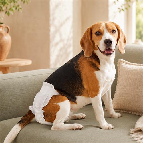 PAÑALES PET DIAPERS M 12u 42*30