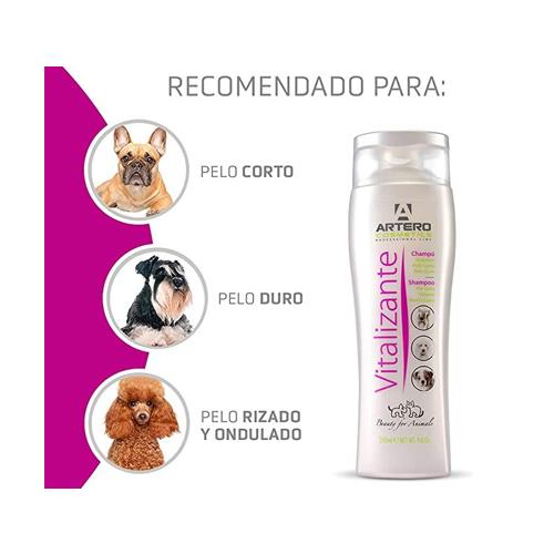 ARTERO CHAMPU VITALIZANTE 250ml