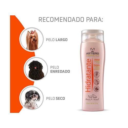 ARTERO CHAMPU HIDRATANTE 250ml