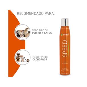 ARTERO CHAMPU SECO SPEED 300ml 2