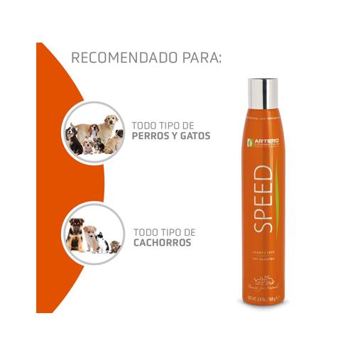 ARTERO CHAMPU SECO SPEED 300ml