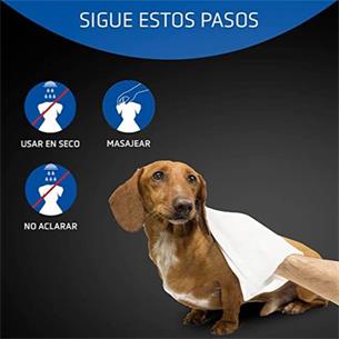 ARTERO GUANTES PLIS PLAS 20uds 2