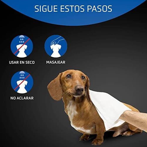 ARTERO GUANTES PLIS PLAS 20uds